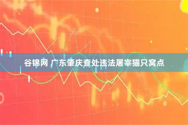 谷锦网 广东肇庆查处违法屠宰猫只窝点