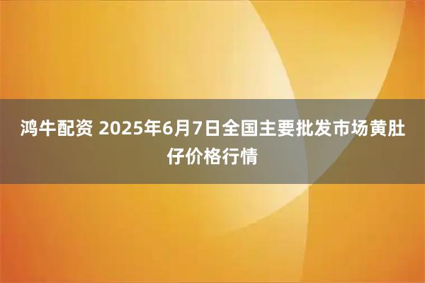 鸿牛配资 2025年6月7日全国主要批发市场黄肚仔价格行情