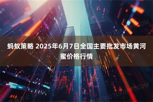 蚂蚁策略 2025年6月7日全国主要批发市场黄河蜜价格行情