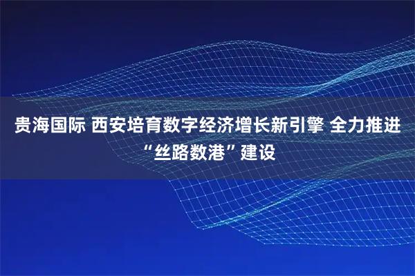 贵海国际 西安培育数字经济增长新引擎 全力推进“丝路数港”建设