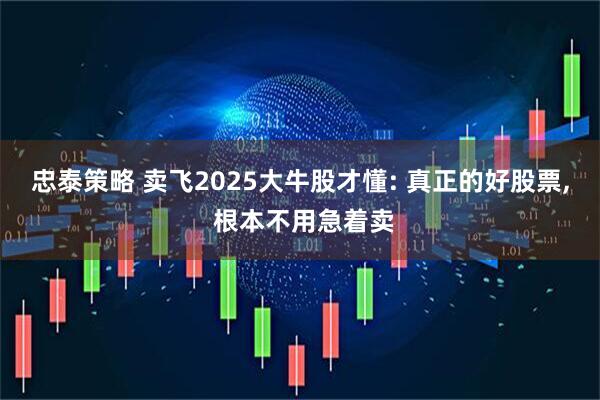 忠泰策略 卖飞2025大牛股才懂: 真正的好股票, 根本不用急着卖