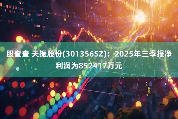 股查查 天振股份(301356SZ)：2025年三季报净利润为852417万元