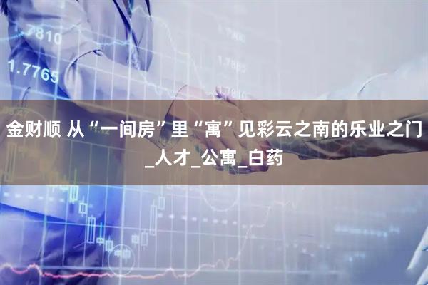 金财顺 从“一间房”里“寓”见彩云之南的乐业之门_人才_公寓_白药